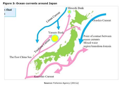 are the coasts of china and japan warm